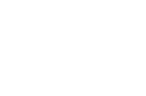 Lipper - Vision Intelligence Performance